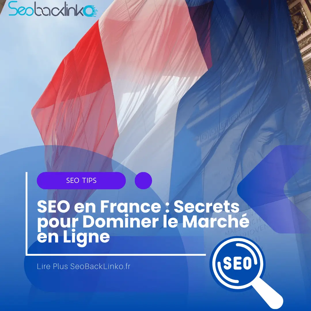 SEO en France